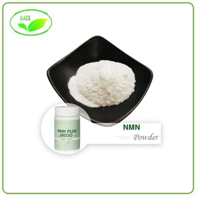 Nmn Powder